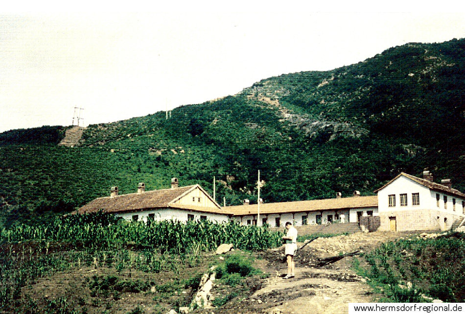 Das Waisenhaus von Hamhung