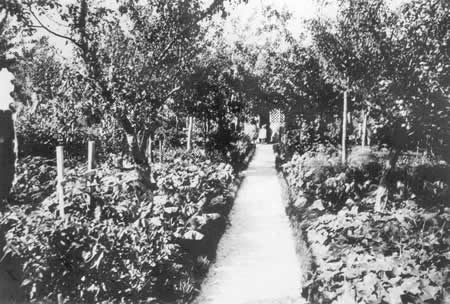 Garten Nummer 28 um 1920